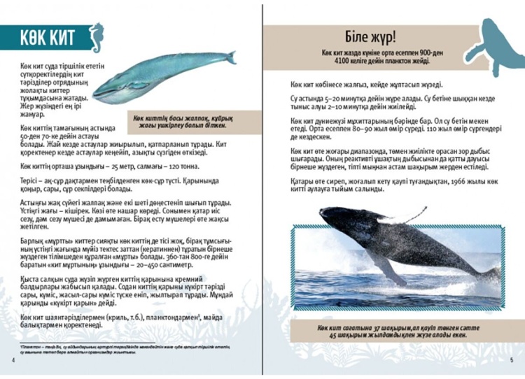 Кішкентай жыныс мүшесі қызды оргазмға әкелуі мүмкін. Джессика Нигиримен жыныстық қатынас