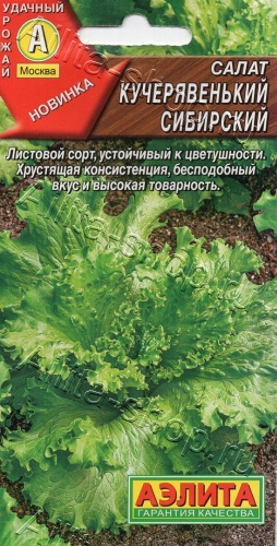 Аэлита салат Кучерявенький Сибирский