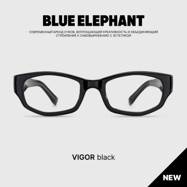 BLUE ELEPHANT очки прямоугольные однотонные
