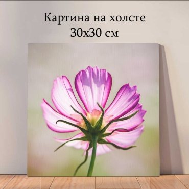 Quantum картина Растения и цветы 30x30 см