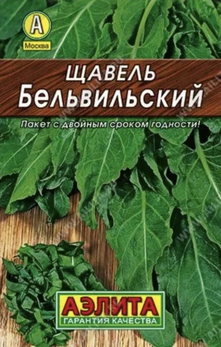 Аэлита щавель Бельвильский