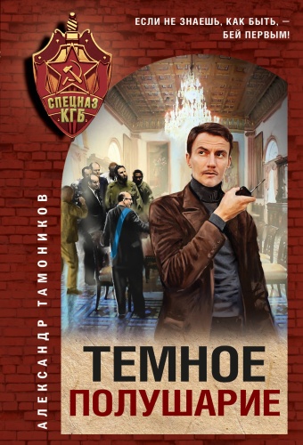 Тамоников А.А.: Темное полушарие