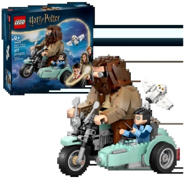 Конструктор Harry Potter 76443_r, деталей 617 шт