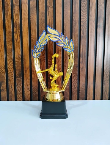 Golden Cup трофей "Футбол Лого В Рамке"