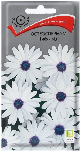Поиск остеоспермум Небо и лед