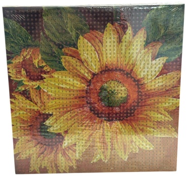 Алмазная мозайка 20*20