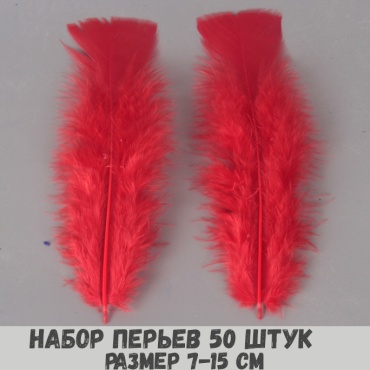 Декоративные перья Остров Творчества гусиные перья
