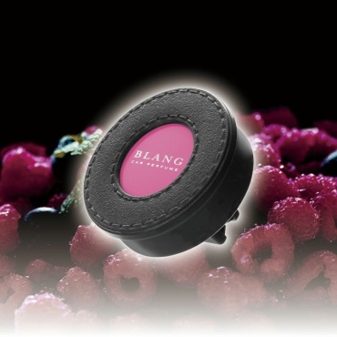 CARMATE ароматизатор гелевый H1752 Wild berry