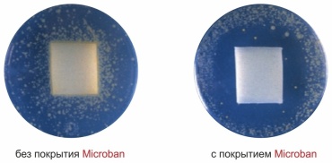 Фото 5