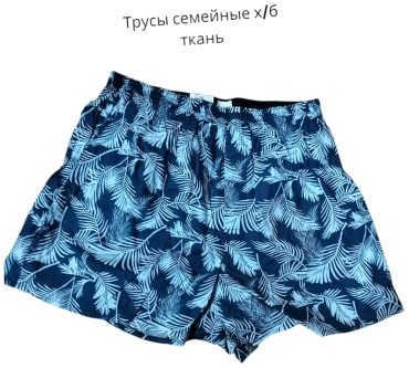 Боксеры мультиколор