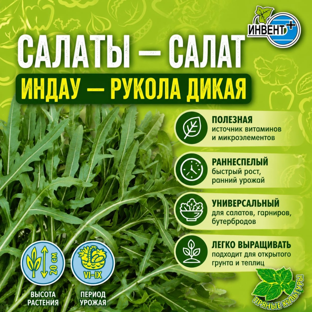 ИНВЕНТ+ руккола Индау рукола дикая