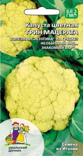 4season капуста цветная Грин Мацерата