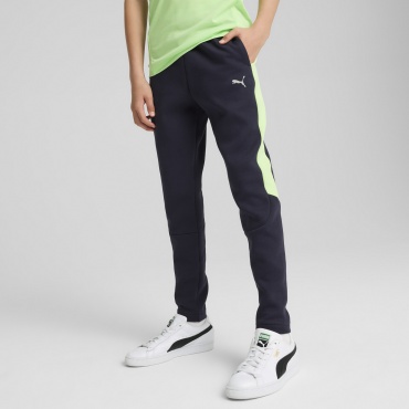 Спортивные брюки Puma темно-синий