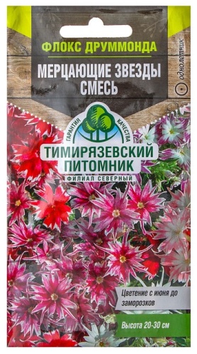 Тимирязевский питомник флокс «Мерцающие звезды»