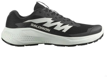 Кроссовки Salomon Alphaglide черный