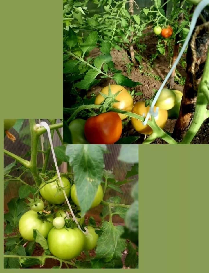 Фото 6