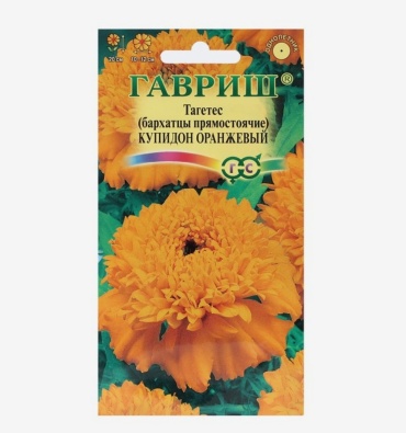 Гавриш бархатцы Купидон оранжевый