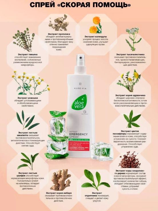 aloe vera creme gegen falten 3 Anti-Aging Produkte bei Falten mit Vitamin C,E & F main image 1