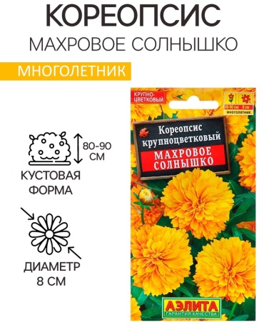 Аэлита кореопсис «Махровое солнышко»»