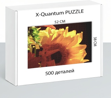 X-Quantum puzzle_flrqw6g9n3 классический 500 деталей