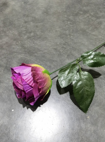 Фото 3