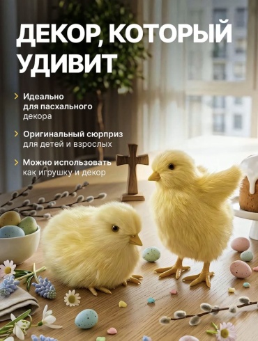 Фото 5