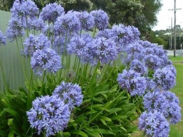 Фото 2