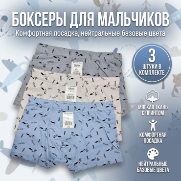 Боксеры мультиколор