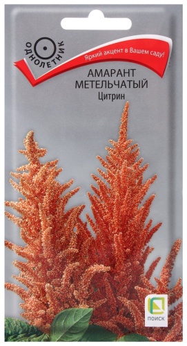 Поиск амарант Цитрин