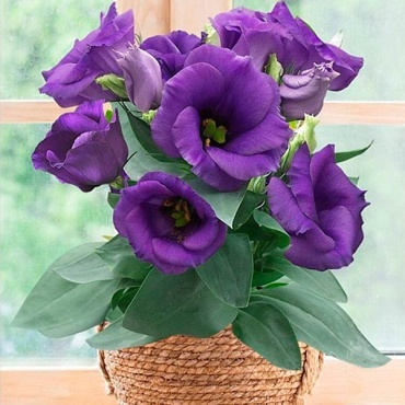 Фото 2
