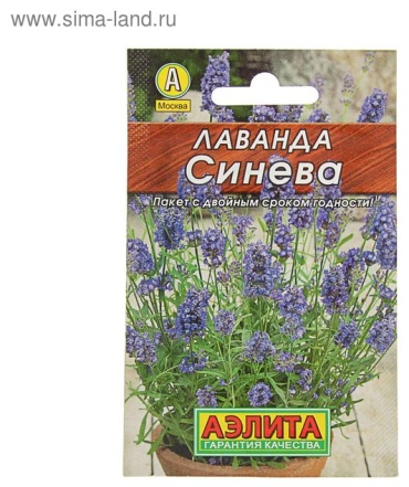 Аэлита лаванда «Синева»