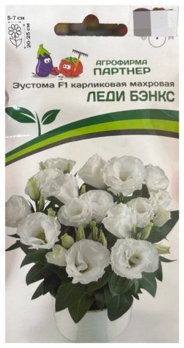 Партнер эустома Леди Бэнкс