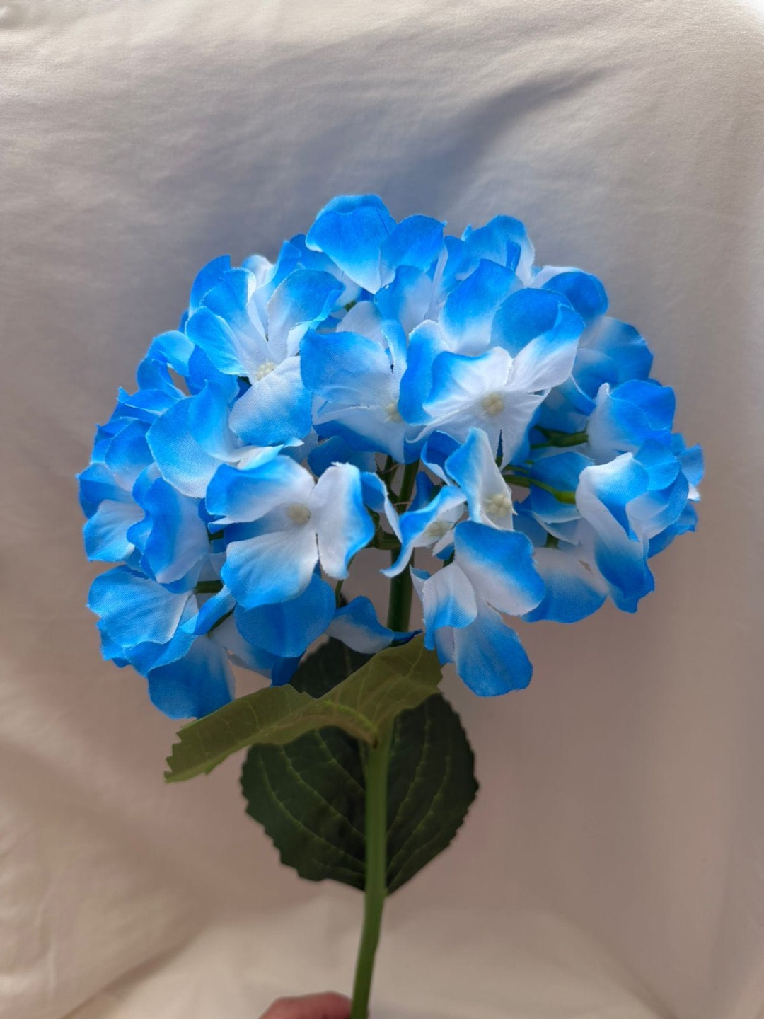 Фото 3