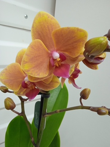 Фото 2
