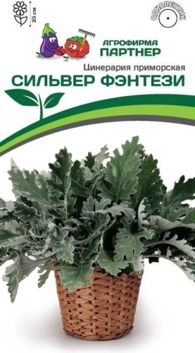 Партнер цинерария СИЛЬВЕР ФЭНТЕЗИ