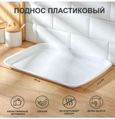 Поднос 272691188 мультиколор