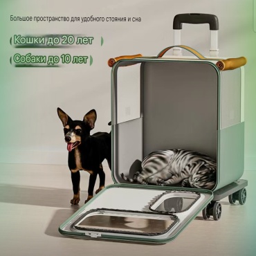 Фото 2