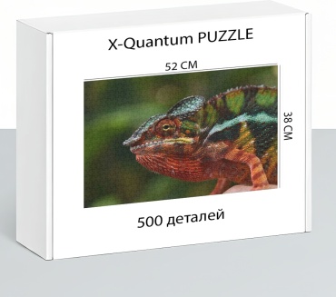 X-Quantum puzzle_6qg93acio8 классический 500 деталей