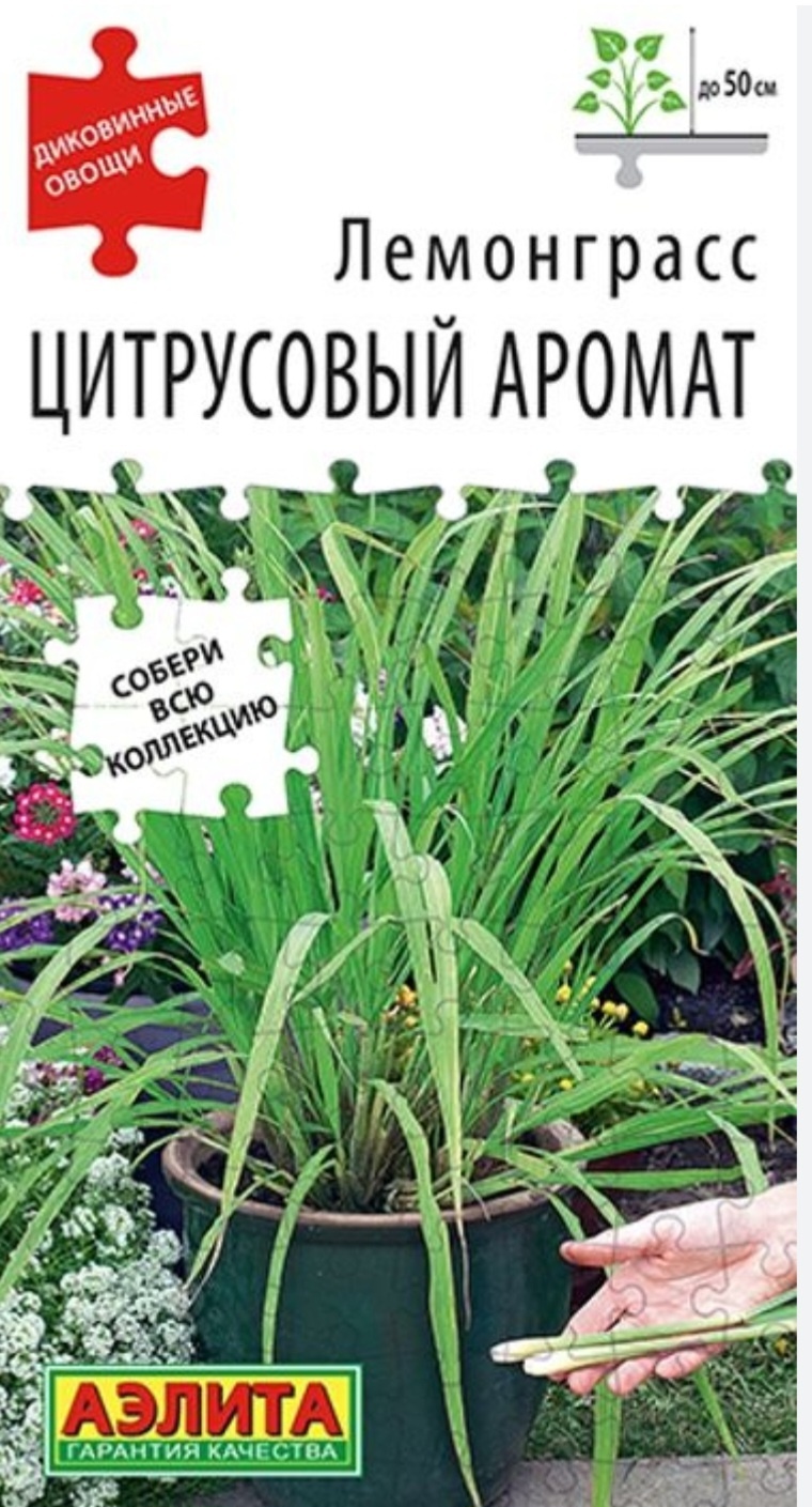 Аэлита лемонграсс Цитрусовый аромат