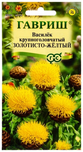 Гавриш василек Золотисто-желтый,