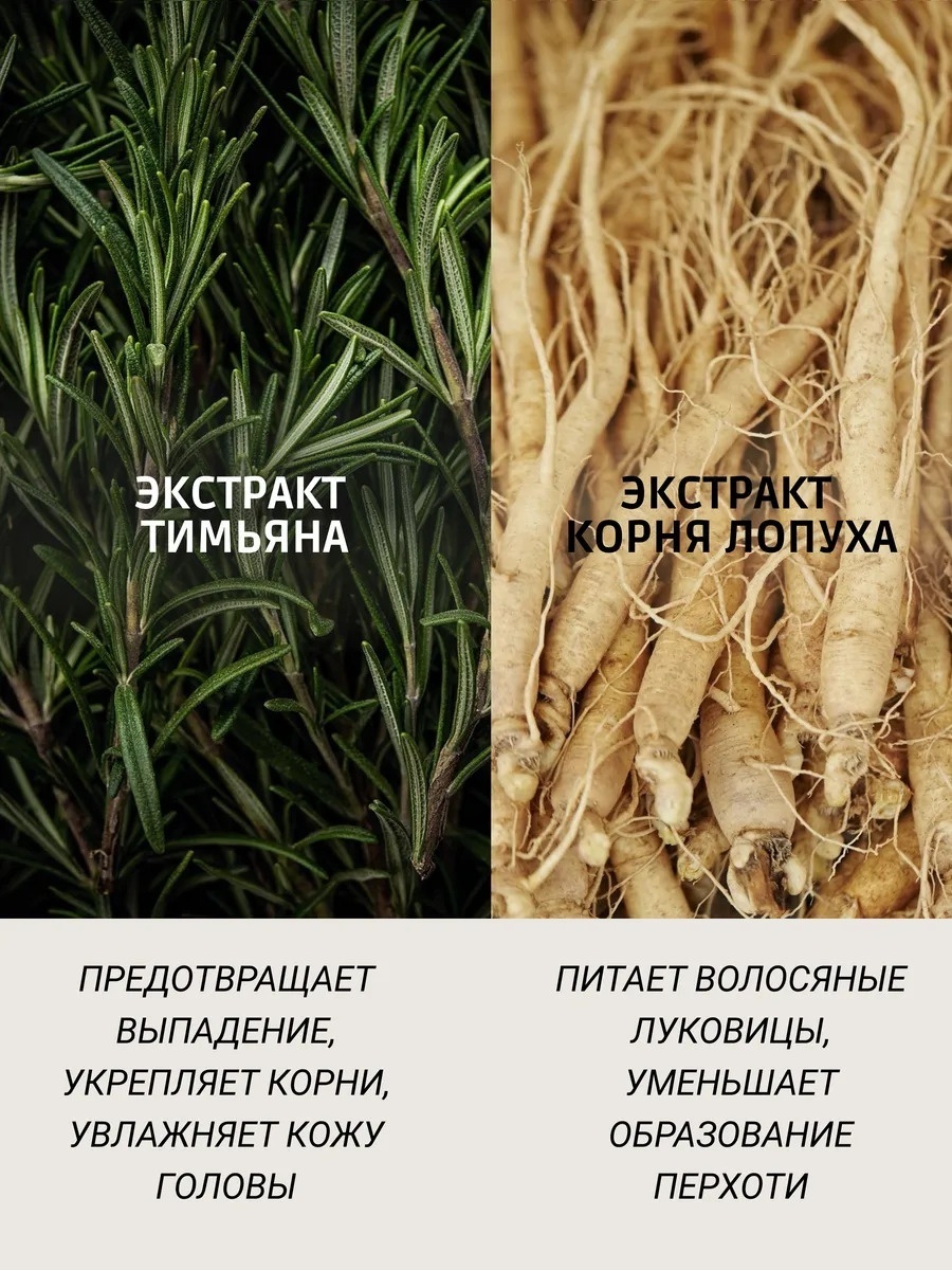 Фото 6