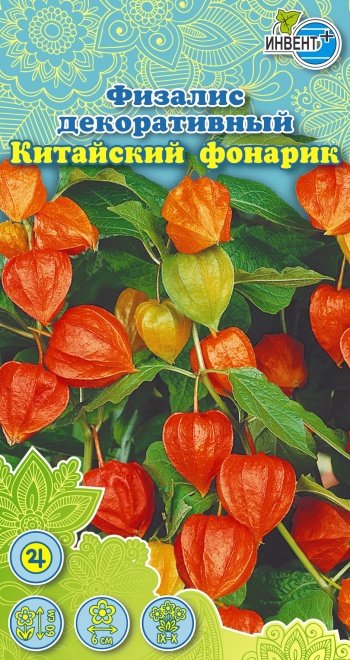 ИНВЕНТ+ физалис декоративный Китайский Фонарик
