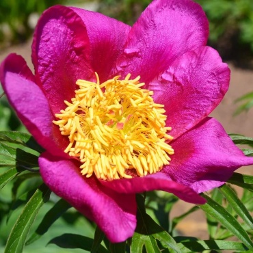 Фото 2