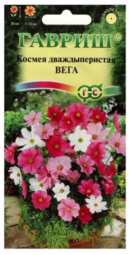 Гавриш космея Вега