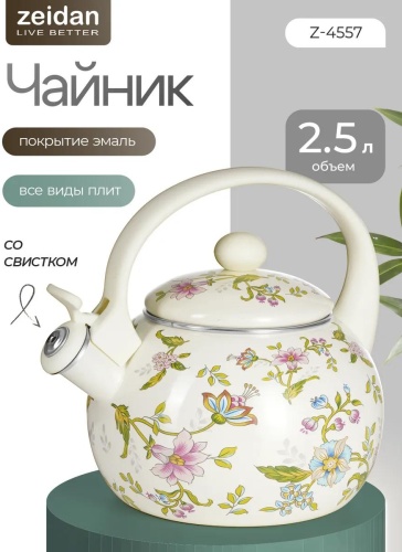 Чайник 532029503 2.5 л, сталь