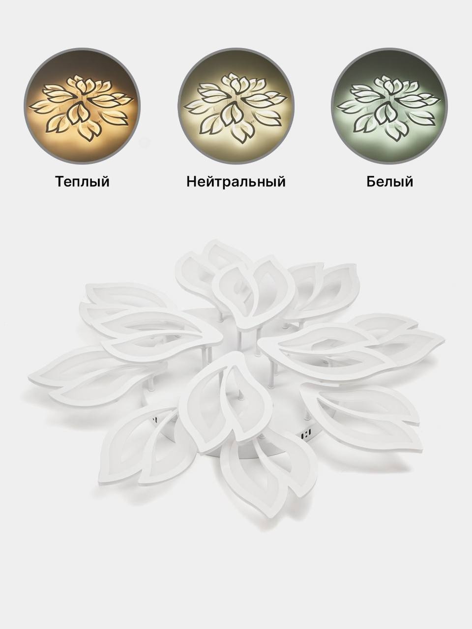 Фото 3