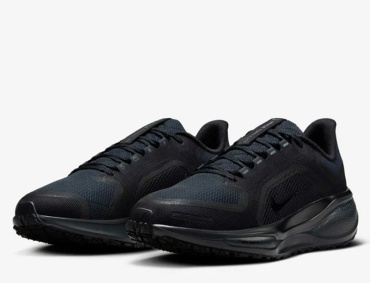 Кроссовки Nike Pegasus 41 GORE-TEX черный