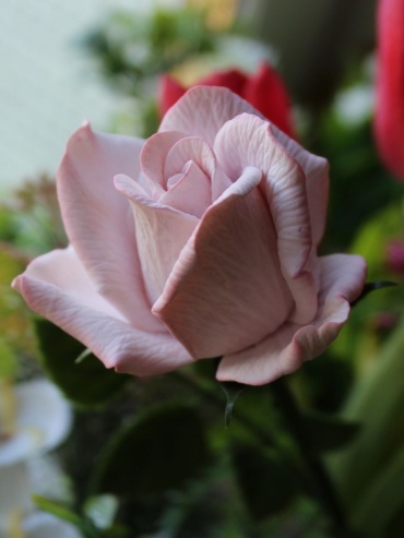 Фото 2