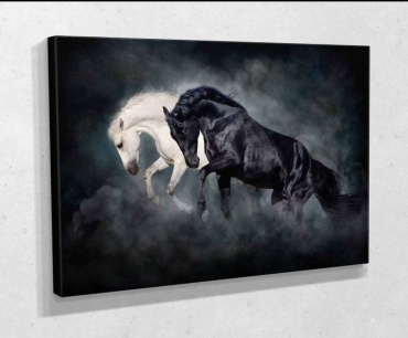 V&Ev картина Свет и тьма 50x40 см