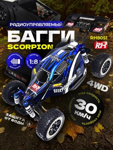 Машинка на радиоуправлении 77146C795259F82E
